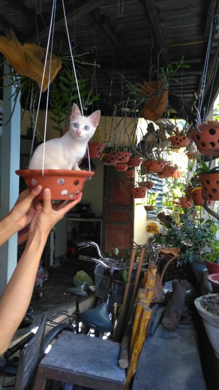 Hue Happy Homestay Εξωτερικό φωτογραφία